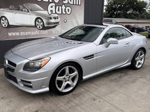 2013 Mercedes-Benz SLK SLK 250