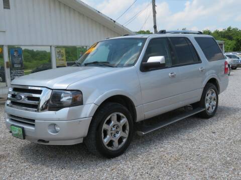 2014 Ford Expedition for sale at Low Cost Cars in Circleville OH