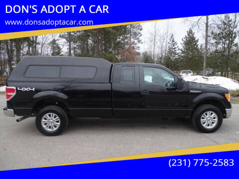 2013 Ford F-150 for sale at DON'S ADOPT A CAR in Cadillac MI