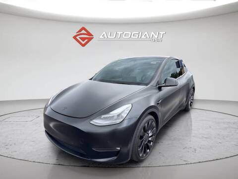 2022 Tesla Model Y Performance Photo