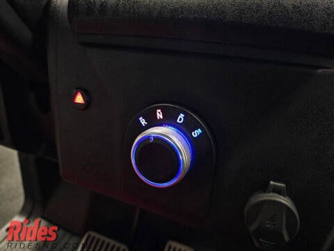 2025 Denago Rover XL Plus