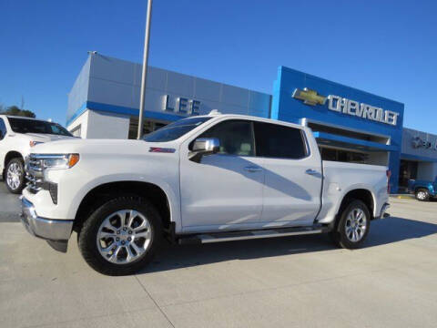2022 Chevrolet Silverado 1500 for sale at LEE CHEVROLET PONTIAC BUICK in Washington NC