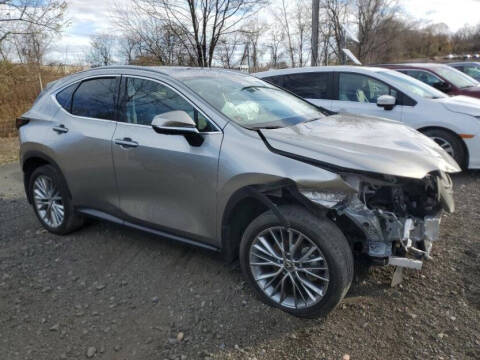2025 Lexus NX 350h Premium