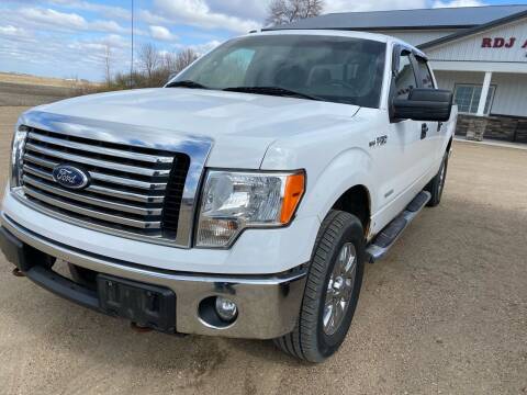 2011 Ford F-150 for sale at RDJ Auto Sales in Kerkhoven MN