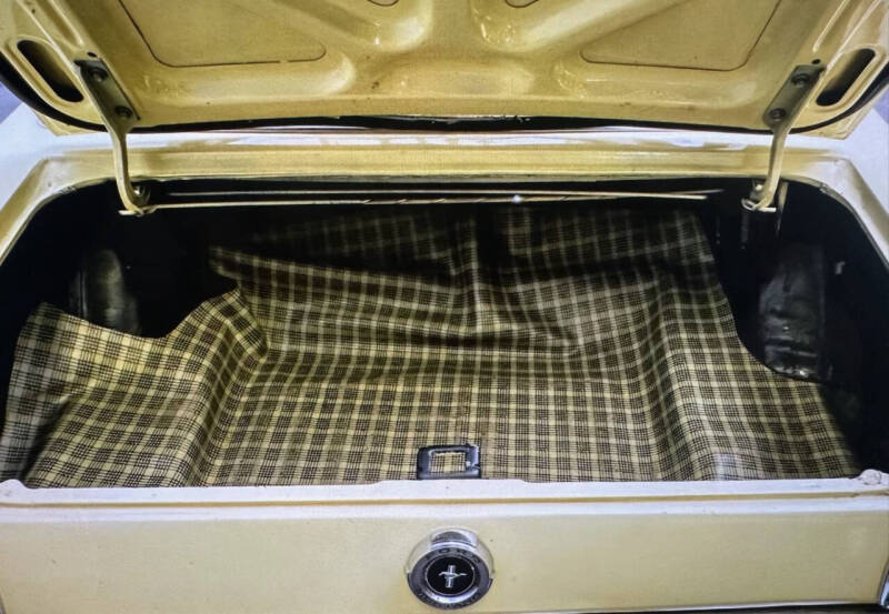 1965 Ford Mustang