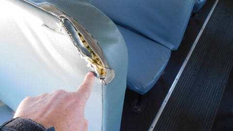 2014 Blue Bird Vision