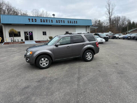 2010 Ford Escape for sale at Ted Davis Auto Sales in Riverton WV