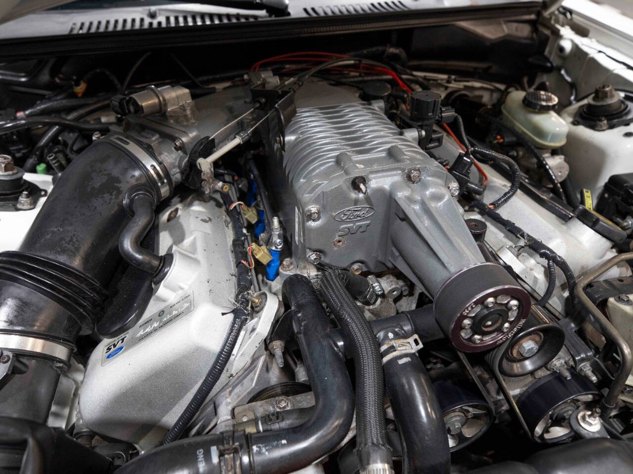 2003 Ford Mustang SVT Cobra 42