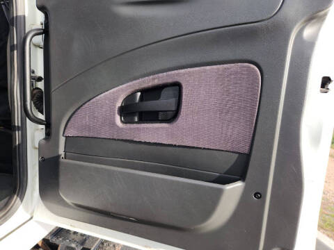 2014 International TerraStar