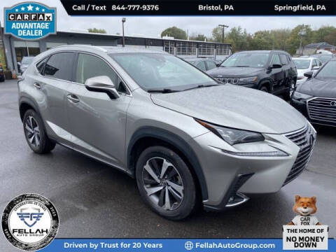 2020 Lexus NX 300 Luxury