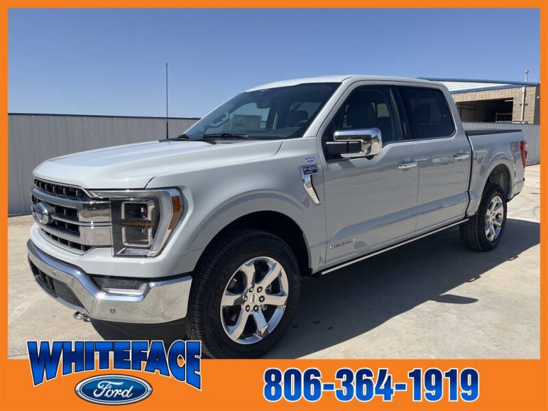 2023 Ford F-150 for sale at Whiteface Ford in Hereford TX