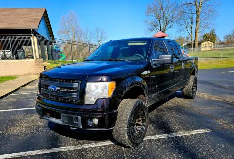 2013 Ford F-150 for sale at GOLDEN RULE AUTO in Newark OH