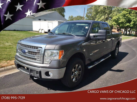 2014 Ford F-150 for sale at Cargo Vans of Chicago LLC in Bradley IL