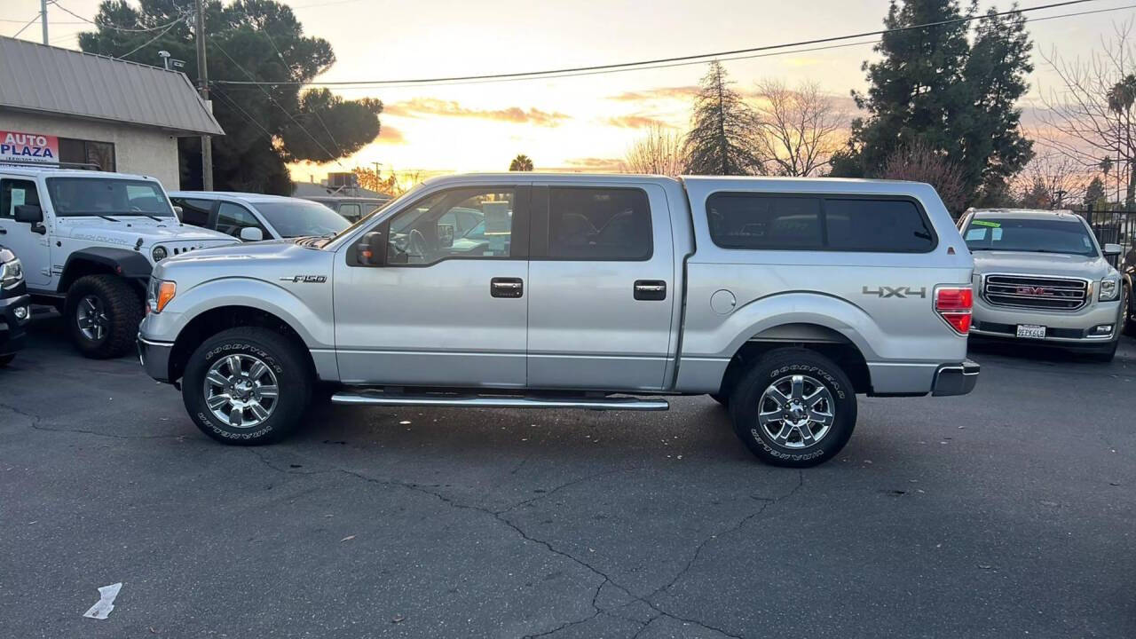 2010 Ford F-150 for sale at Auto Plaza in Fresno, CA