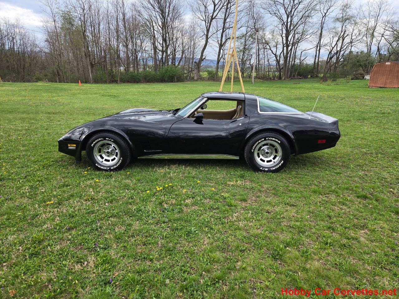 1981 Chevrolet Corvette 9