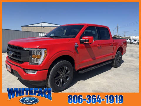 2023 Ford F-150 for sale at Whiteface Ford in Hereford TX