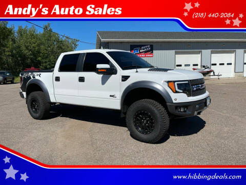 2011 Ford F-150 for sale at Andy's Auto Sales in Hibbing MN