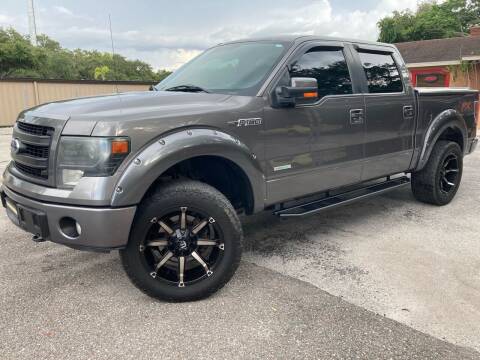 2013 Ford F-150 for sale at Auto Liquidators of Tampa in Tampa FL