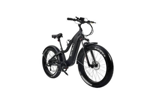 2025 Bintelli Tremor