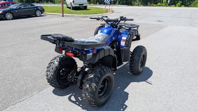2025 TrailMaster 200 Utility