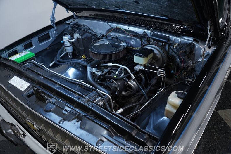 1981 Chevrolet C/K 10 Series