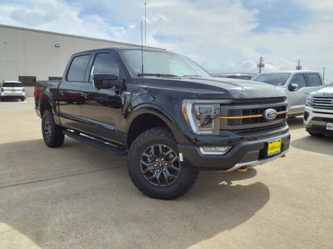 2023 Ford F-150 for sale at Mac Haik Ford Pasadena in Pasadena TX