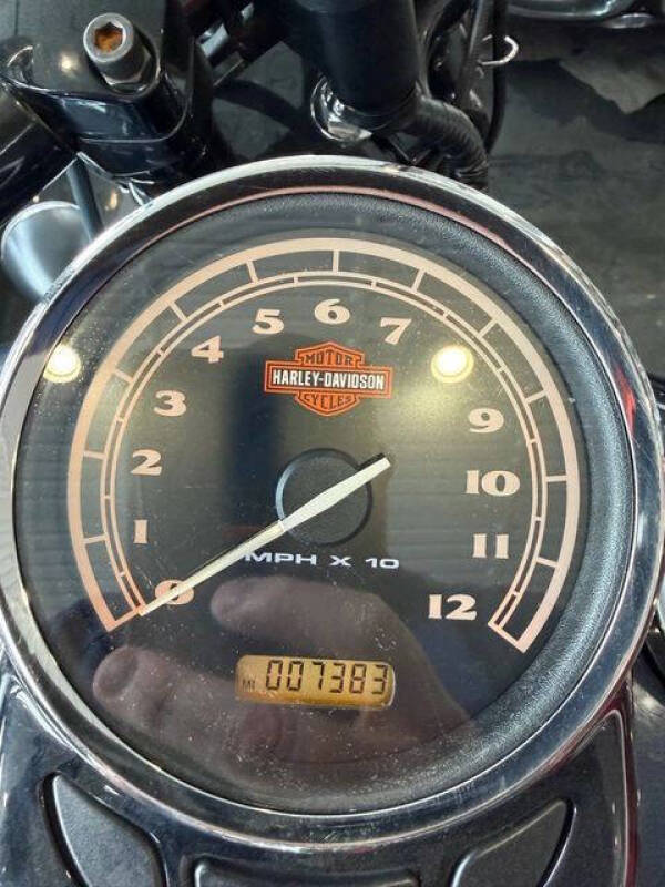 2009 Harley-Davidson Softail