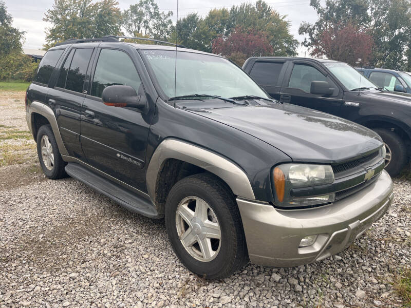 2003 Chevrolet TrailBlazer for sale at HEDGES USED CARS in Carleton MI