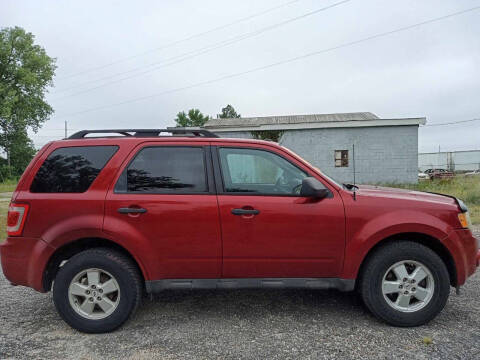 2010 Ford Escape XLT