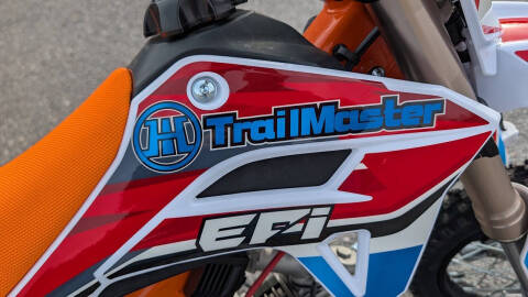 2025 TrailMaster SK110 ES