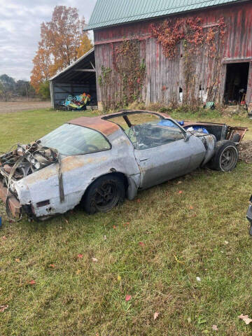 1981 Pontiac Firebird Trans Am  indy pace c