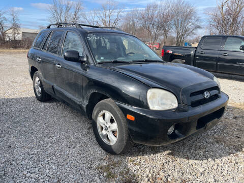 2006 Hyundai Santa Fe for sale at HEDGES USED CARS in Carleton MI