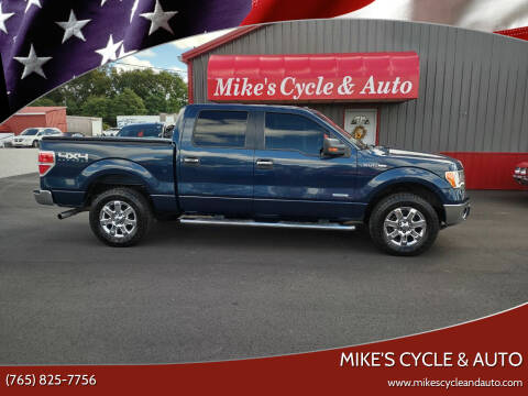 2014 Ford F-150 for sale at MIKE'S CYCLE & AUTO in Connersville IN