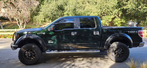 2013 Ford F-150 XLT