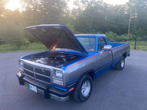 1992 Dodge RAM 150 LE