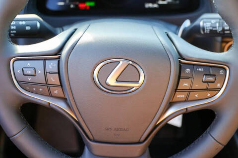 2025 Lexus UX 300h Premium