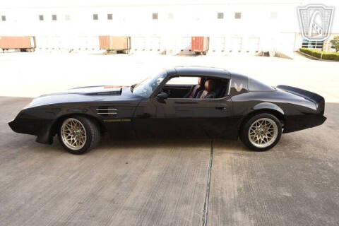 1981 Pontiac Firebird Trans Am