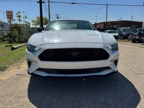 2019 Ford Mustang EcoBoost