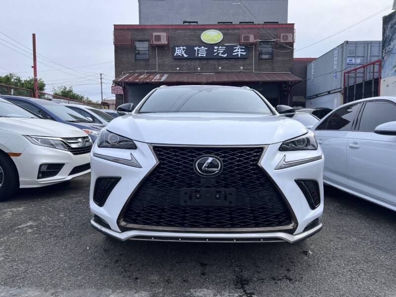 2021 Lexus NX 300 for sale at TJ AUTO in Brooklyn NY