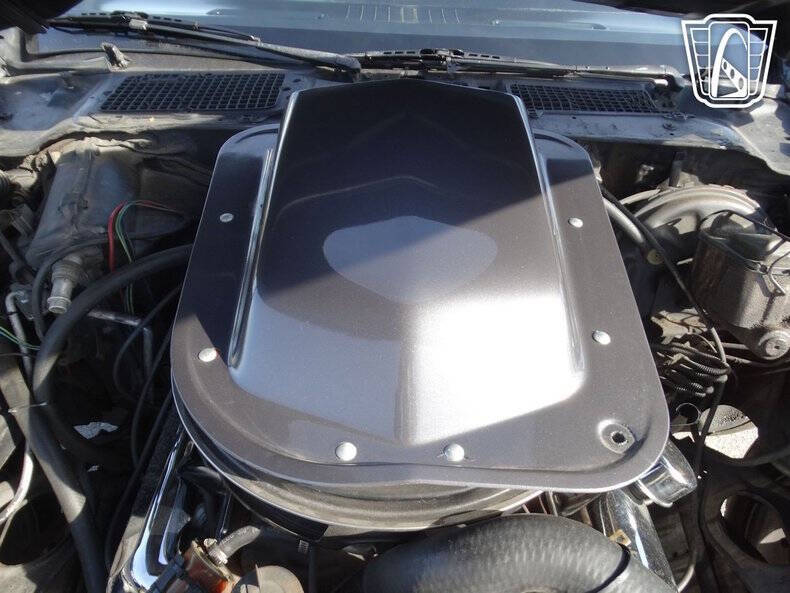 1979 Pontiac Firebird