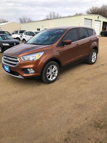 2017 Ford Escape for sale at Lake Herman Auto Sales in Madison SD