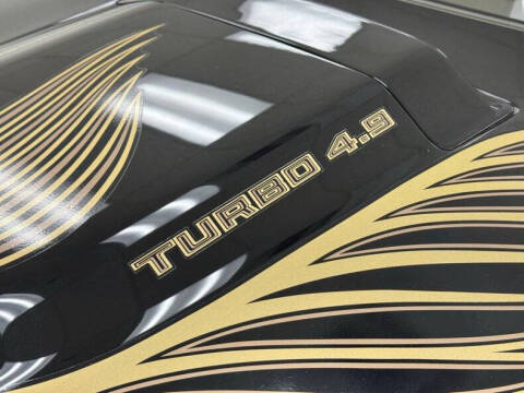 1981 Pontiac Firebird Trans Am