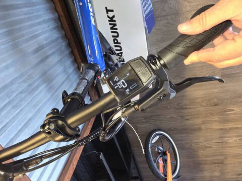 2026 BLAUPUNKT EBIKE