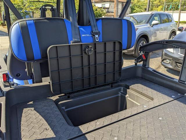 2024 Bintelli BEYOND 6PR LITHIUM 105-AH