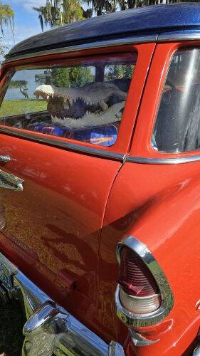 1955 Chevrolet Bel Air