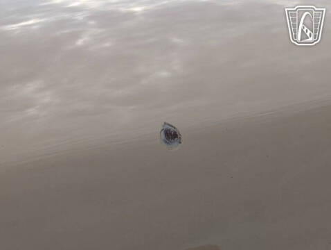 1979 Lincoln Continental