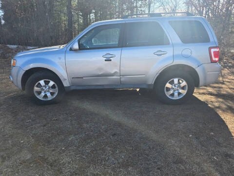 2008 Ford Escape for sale at Expressway Auto Auction in Howard City MI