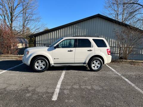 2009 Ford Escape Hybrid for sale at Budget Auto Outlet Llc in Columbia KY