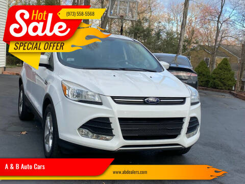 2014 Ford Escape for sale at A & B Auto Cars in Newark NJ