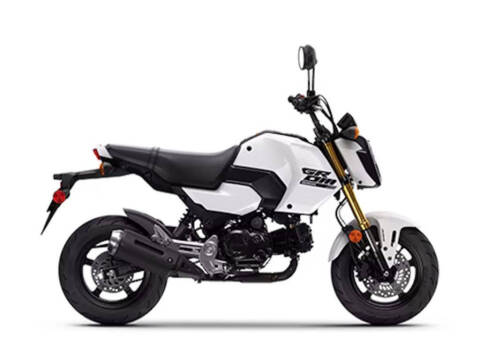 Honda Grom ABS Image